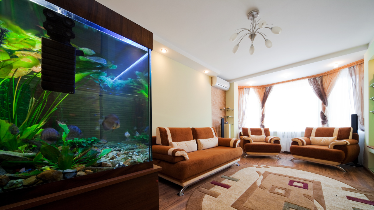 Aquarium dans une salle d'attente