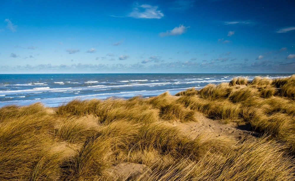 Bray-Dunes